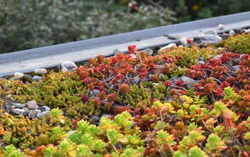 the cost of West Shepton green roof installation