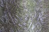 West Shepton fibreglass roof work